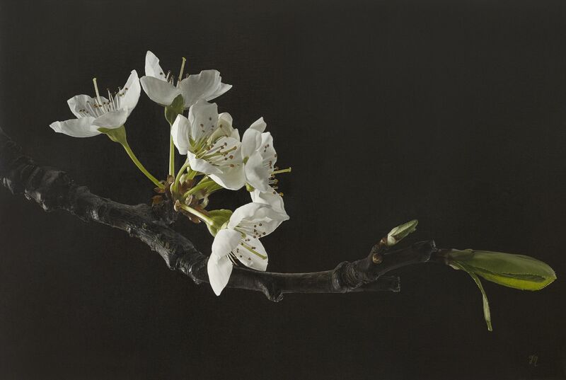 'Emergence' (Sakura II)' - a Paintings by Trish Mitchell
